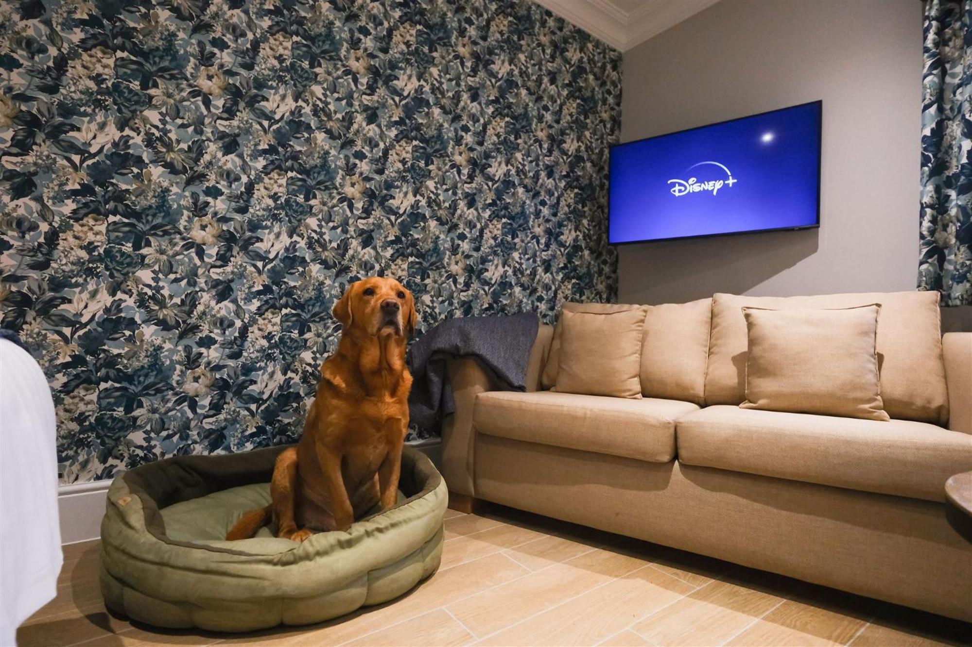 Mulberry House Guest House Ongar Екстериор снимка